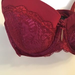 Paramour Burgundy Lace Bra 34DD